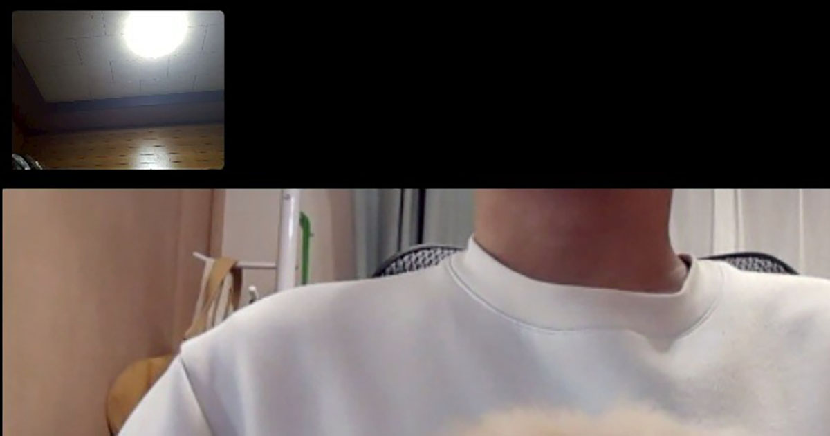 飼い主のリモート会議にワンコが乱入→目がバグる“奇跡の光景”が130万表示「お茶吹いた」「欲しすぎる」（1/3） | 犬 ねとらぼ