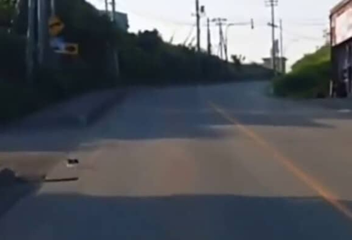 運転中の男性が「あーーうそでしょ、うそでしょ!」急遽停車し降りた理由は…… 予想外の子猫との出会いが111万再生「うわわ!」「まさに運命」(1/3) | 猫 ねとらぼ