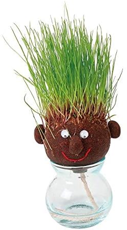 こうなるはずが……（画像出典：Amazon.co.jp）