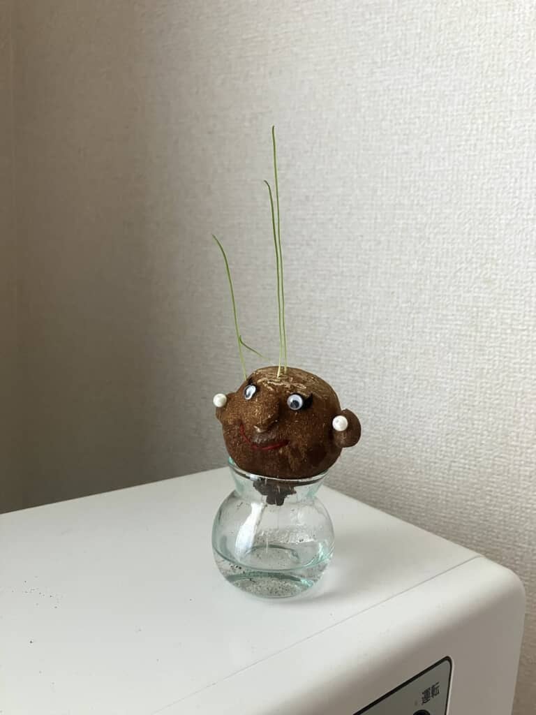 なぜこんなことに（画像提供：ハヤシ／@watashi8ya4さん）