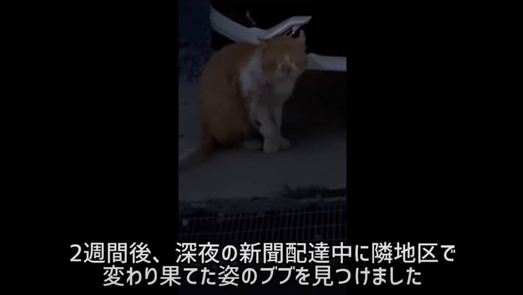 隣の地区で見つけました