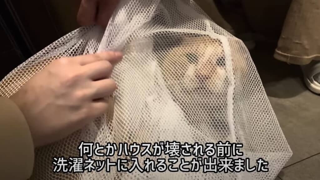 洗濯ネットに入れることができました