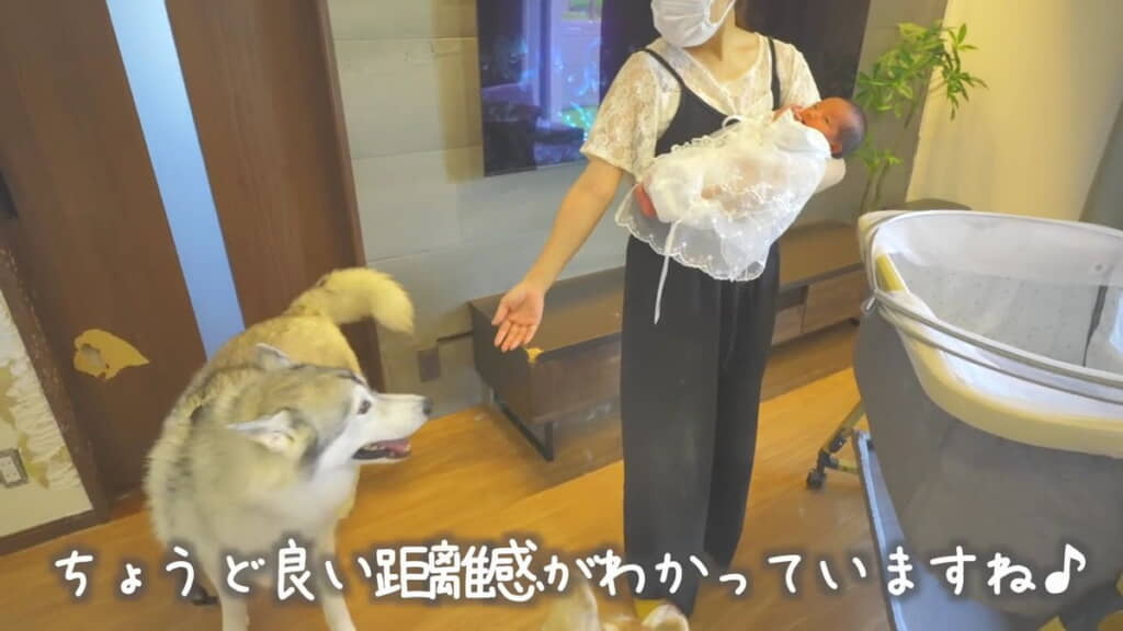 もんちゃんは距離感が分かっています