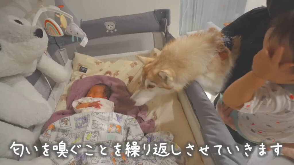 根気よく繰り返します