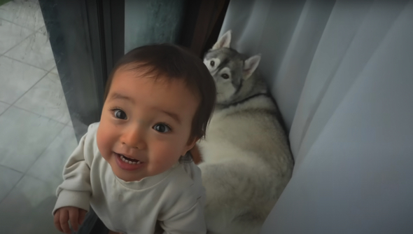 1歳赤ちゃんのおままごとに大型ワンコが付き合って……　本当の兄妹のような姿から愛があふれている