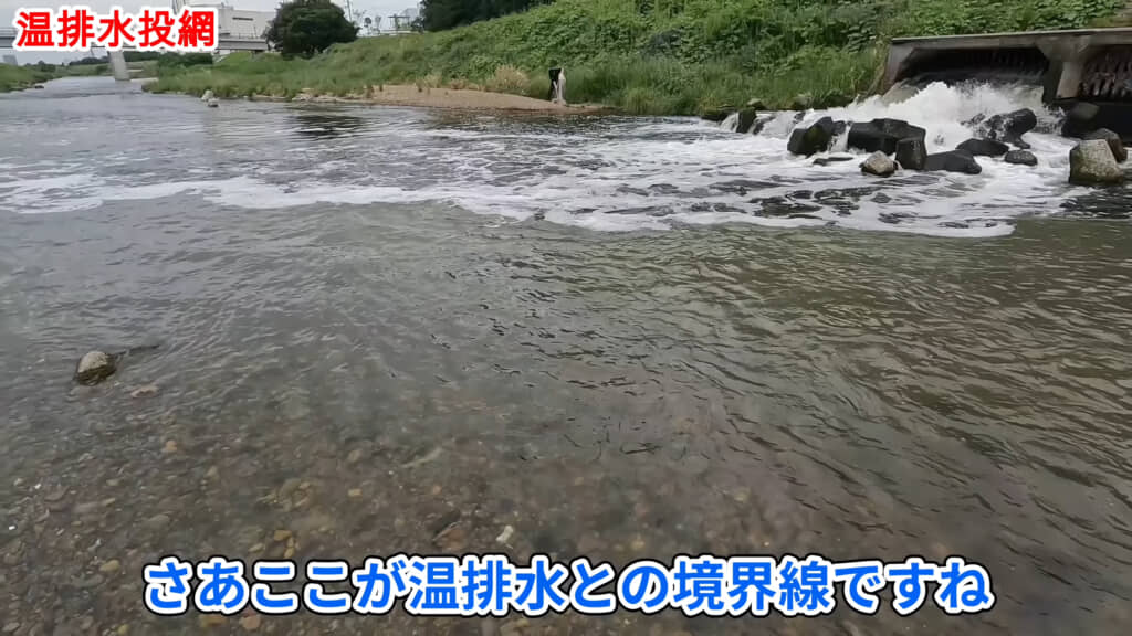 魚にとってのビュッフェ・温排水で投網を打ちます