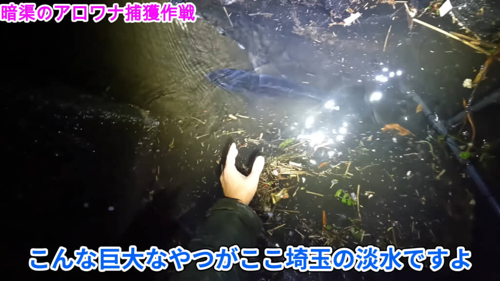 ※ここは埼玉県の用水路です