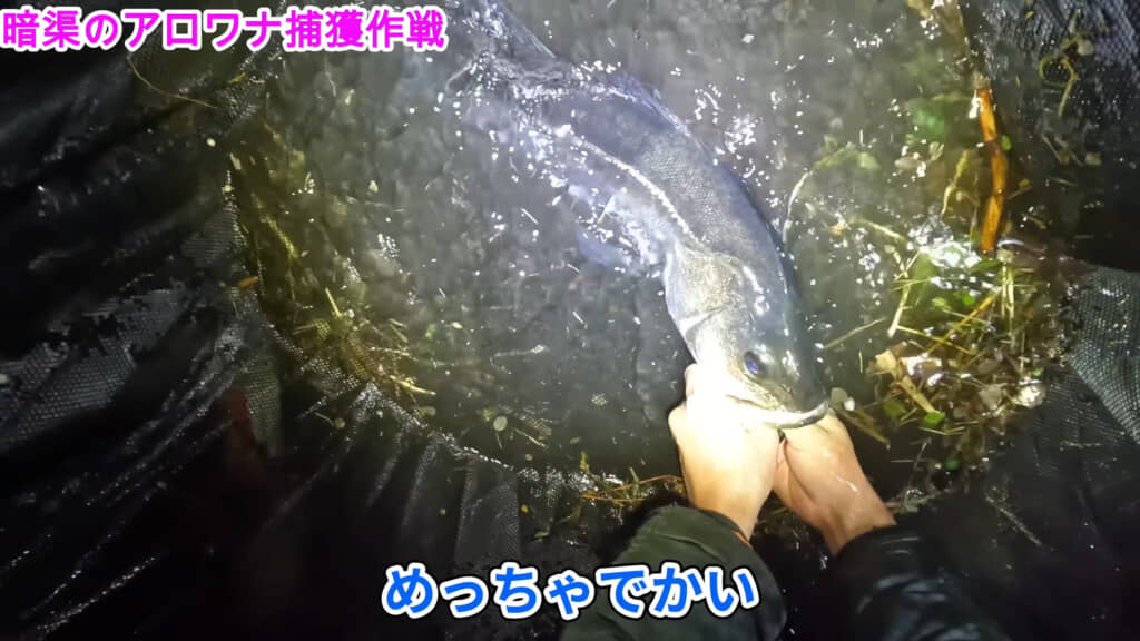 とんでもない大きさです