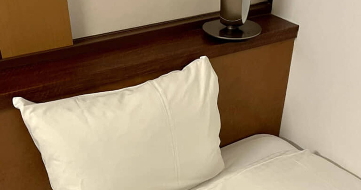 出張先で仕事を終え、ホテルのドアを開けると……　まさかの“先客”に反響　「すっぽり収まっとる（笑）」「お似合いですっ」（1/2） | ホビー ねとらぼ