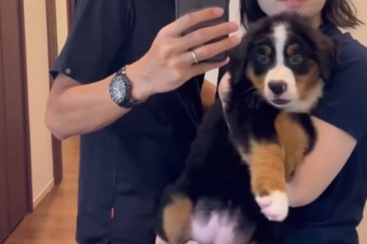 ママがひょいと持ち上げていた“あどけない子犬”→1年もたつと……「こんなに大きくなるんですね」　驚きの成長に反響（1/2） | 犬 ねとらぼ