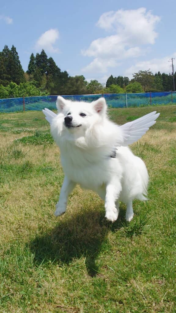 ママさんオリジナルアイテムでふんわり