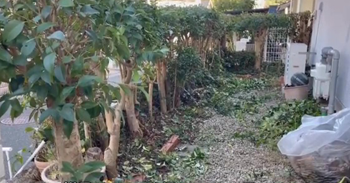 築30年の義実家、放置しすぎたボーボーの庭を掃除したら1年後……「ビフォー、アフターがすごい！」　感動の仕上がりが「素晴らしい」（1/3） | ライフスタイル ねとらぼ