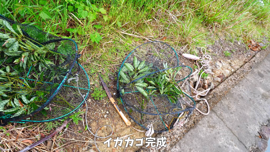 新たなイカカゴを用意しました
