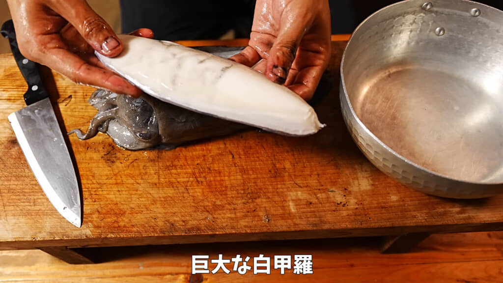 巨大な白甲羅は記念品にするそうです
