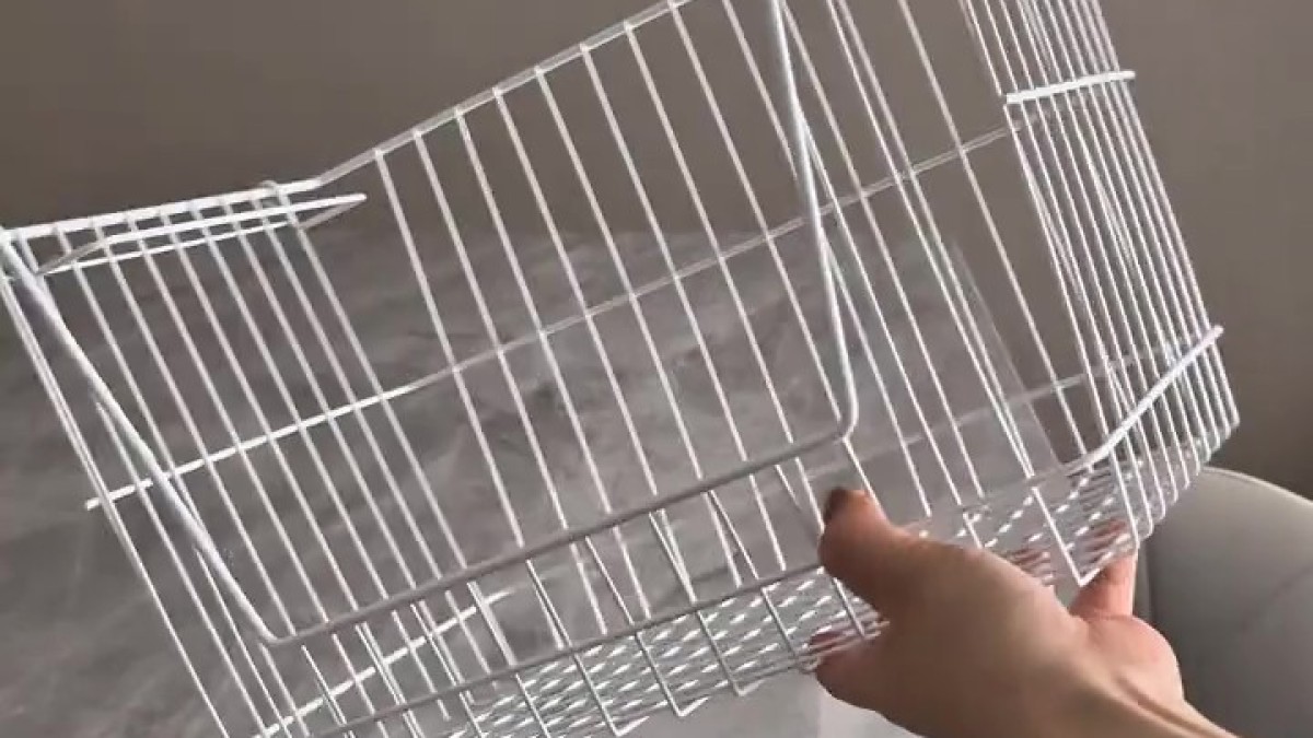 ダイソーの550円バスケットをDIY→たった3分で……「すごぉぉ!!」　完成した“万能グッズ”が180万再生「作ってみます！」（1/2） | ライフスタイル ねとらぼ