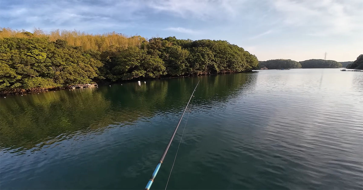 夕方、家の前の海に竿を投げたら……　ついに釣れた“デカブツ”に大興奮「こんな奴がいるとは！」「最高ですね」（1/3） | その他生き物 ねとらぼ