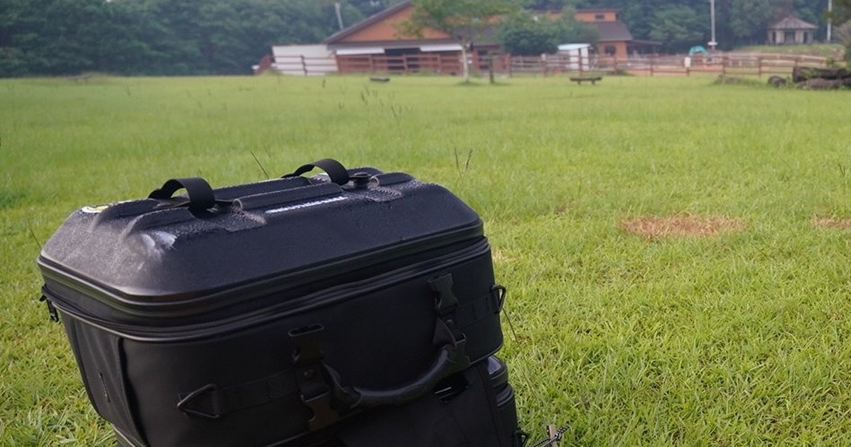 独り占め状態のキャンプ場→早朝にまさかの来訪者が……「コラかと思った」「いい顔してやがる」　970万表示の珍事に反響（1/3） | ライフスタイル ねとらぼ