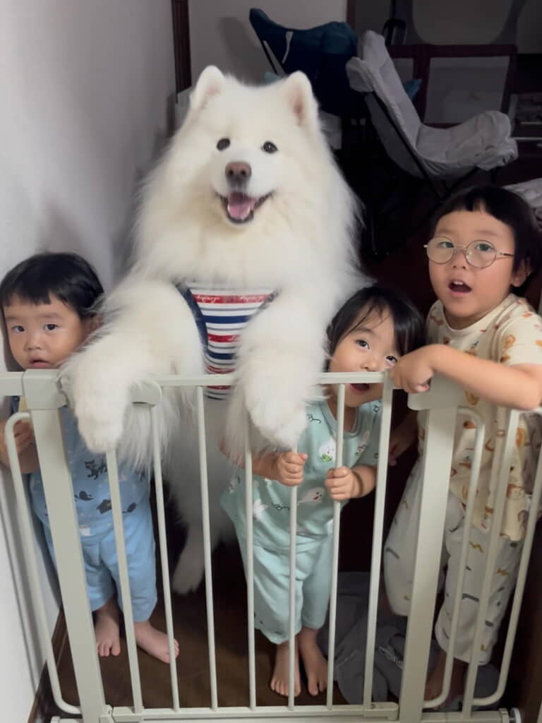 もふもふな子がひとりいますね～