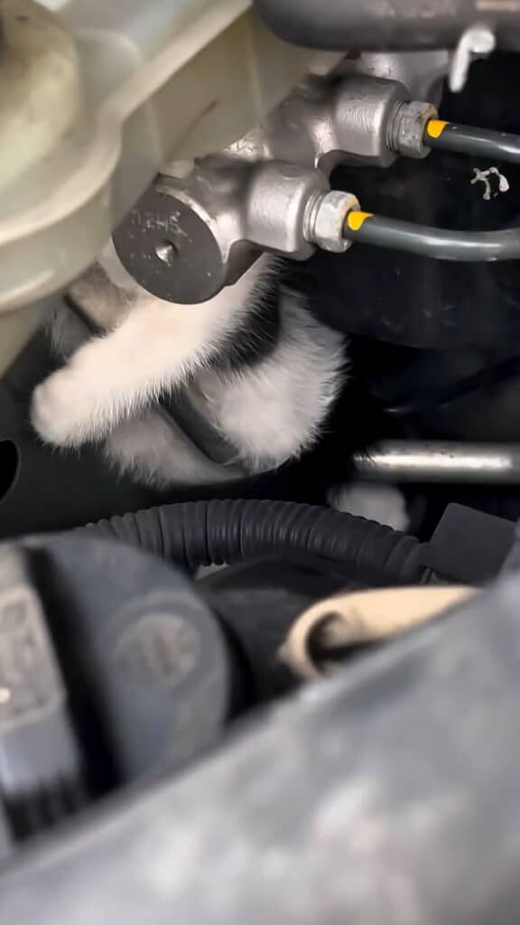 自力で抜け出せなくなったもよう