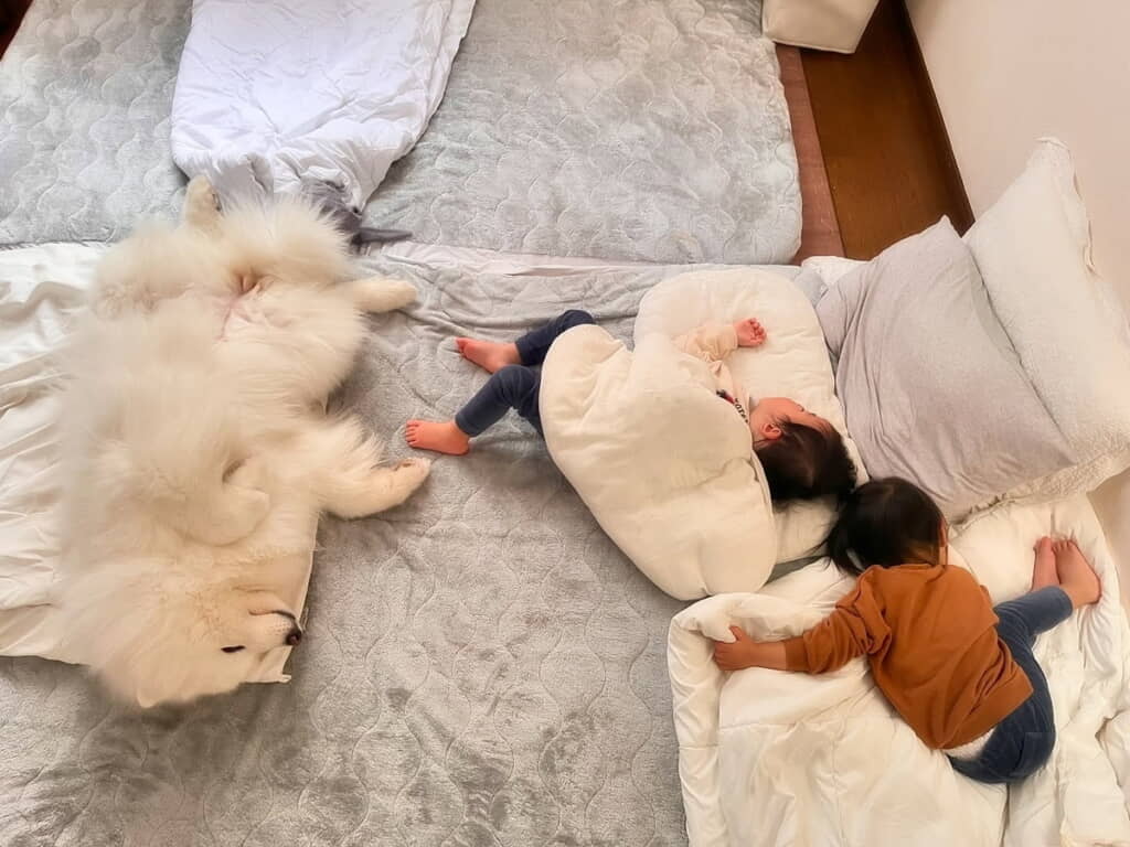 双子ちゃんと一緒に寝かしつけられるひるねちゃん