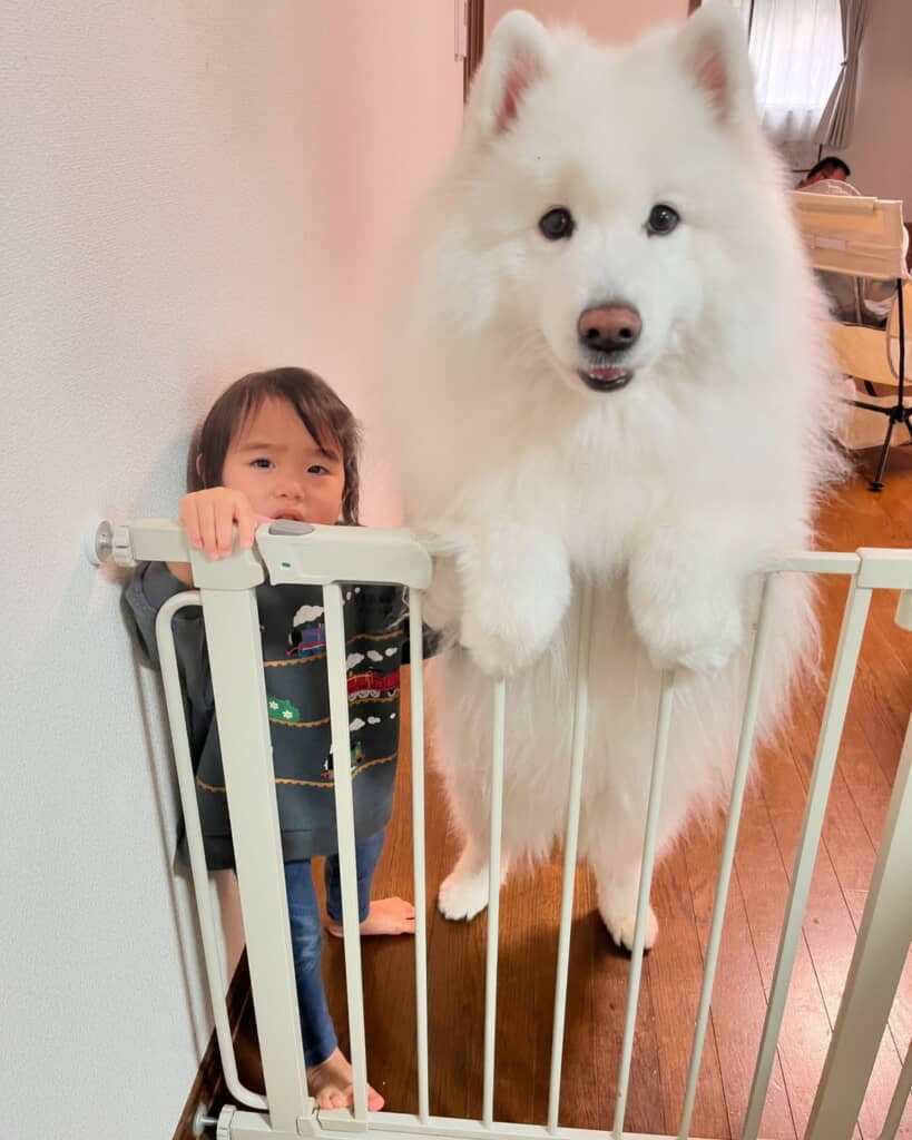 朝ごはんのときも……