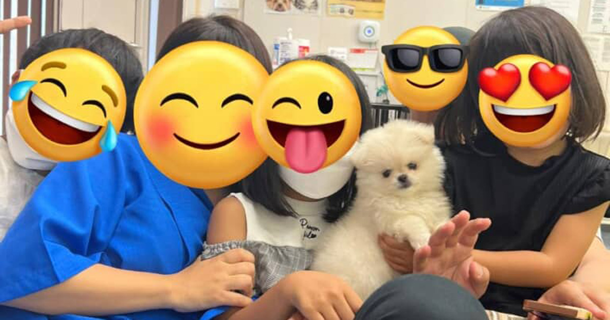 「大きくなっても小さいまま」と言われていた愛犬、気付いたら……「あれっ」 予想外の成長に驚きの声（1/3） | 犬 ねとらぼ