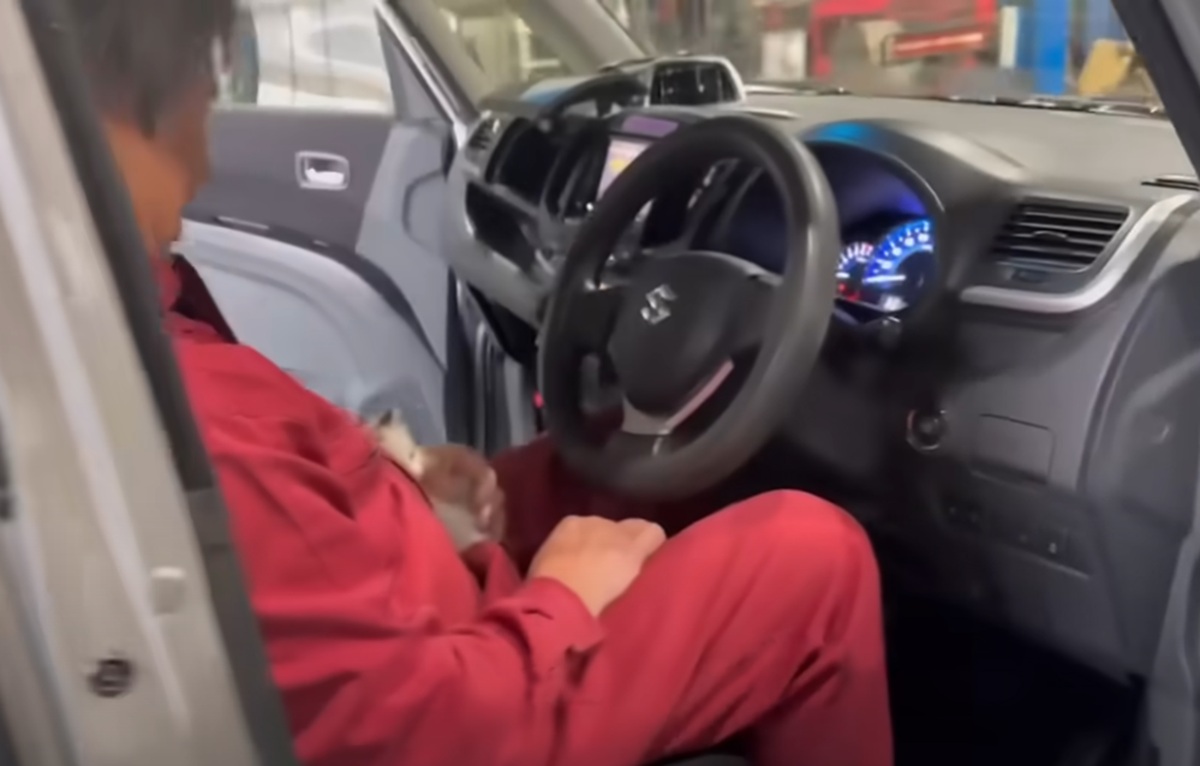 雨の夜、ドブに捨てられていた子猫を保護→夫から聞いた妻が駆け付けると……　まさかの姿に「えーーー」「とてつもなくかわいい子がドブに」（1/3） | 猫 ねとらぼ