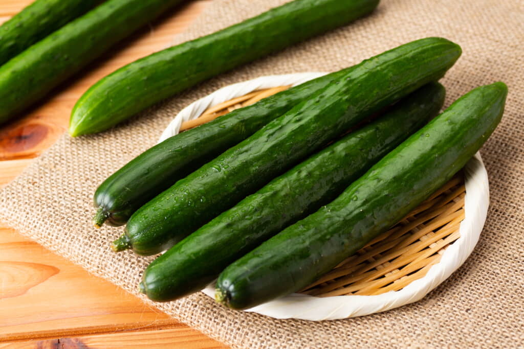 一般的なきゅうり