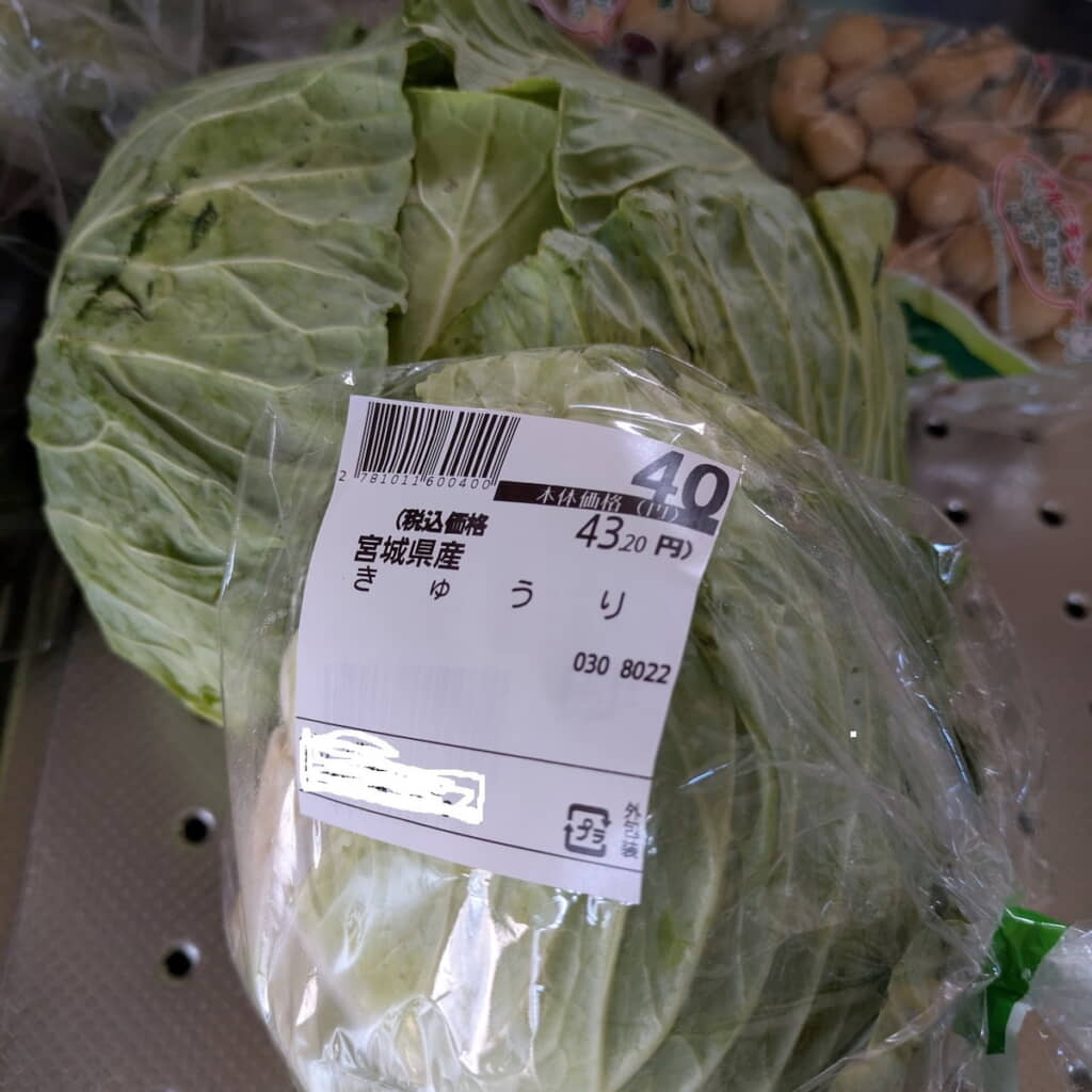 息子が買ってきた“きゅうり”