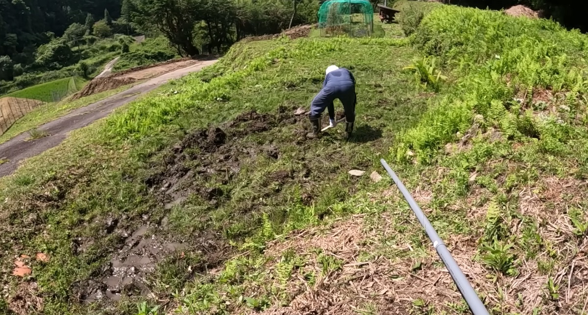 30代無職の男性、人生をかけて開拓した山に“夢の養殖池”を作ったら……　圧巻のスケールに感動「良いですね」「まじ楽しそう」（1/3） | リフォーム・リノベーション・DIY ねとらぼ