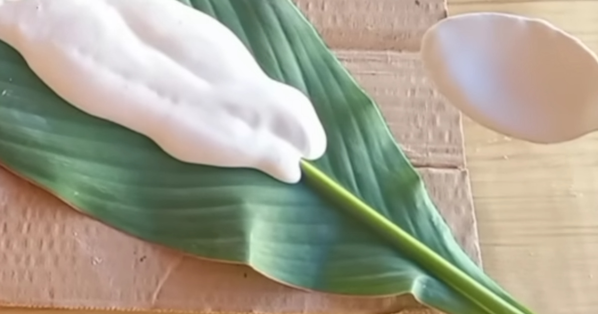 葉っぱや風船に石こうを流し込むと……「本当にステキ」　“リゾート感あふれるインテリアアイテム完成”に「美しい」「すばらしいアイデア」（1/3） | ライフスタイル ねとらぼ