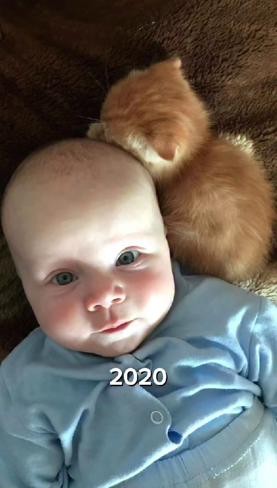 生まれたばかりの娘さんと子猫
