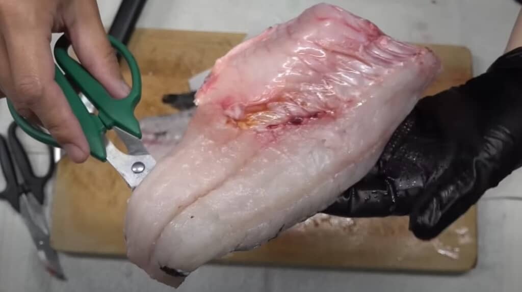 おいしそうな白身です