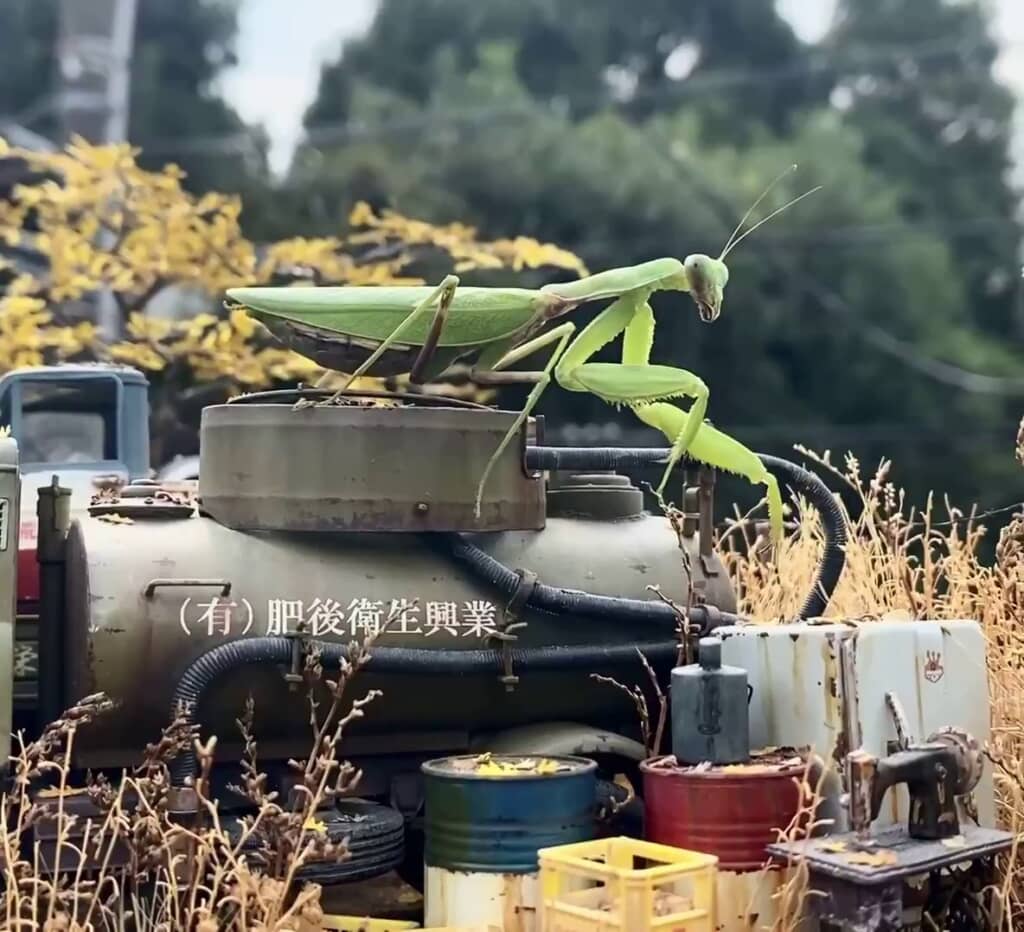 車のミニチュアの上を移動するカマキリ
