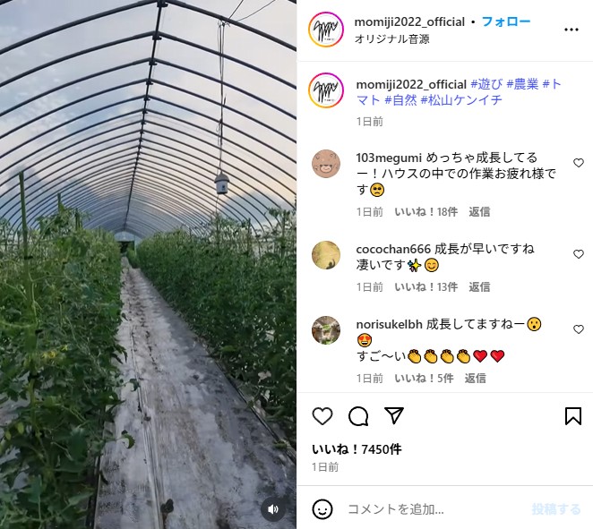 ビニールハウスでトマト栽培に励む松山ケンイチ