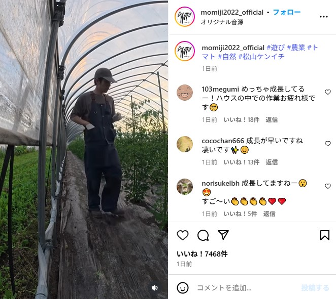 ビニールハウスでトマト栽培に励む松山ケンイチ