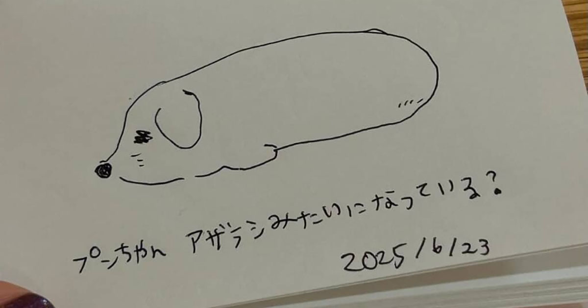 愛犬の絵を描いた飼い主「手抜きだなーって思うでしょ？」→モデルを見ると……「まんまや！w」　“驚がくの再現度”が話題（1/2） | 犬 ねとらぼ