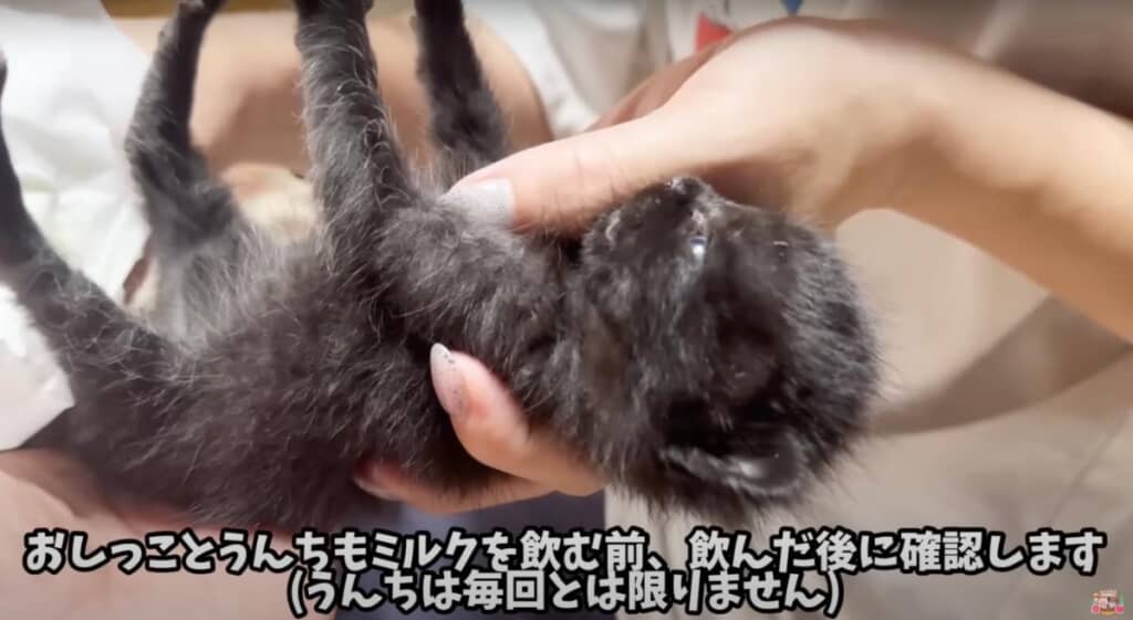 排出のお手伝いも必須