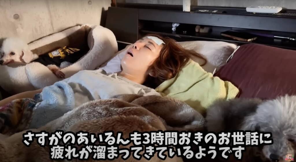 動物との暮らしに慣れている人でもダウン