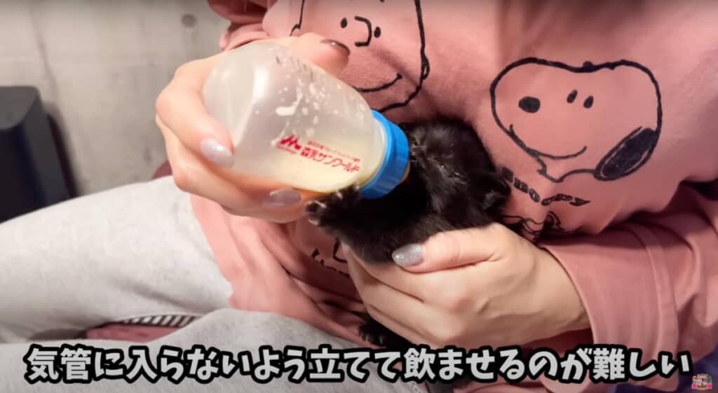 難しい授乳も上手になってきました