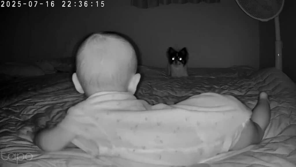 起きていた赤ちゃん