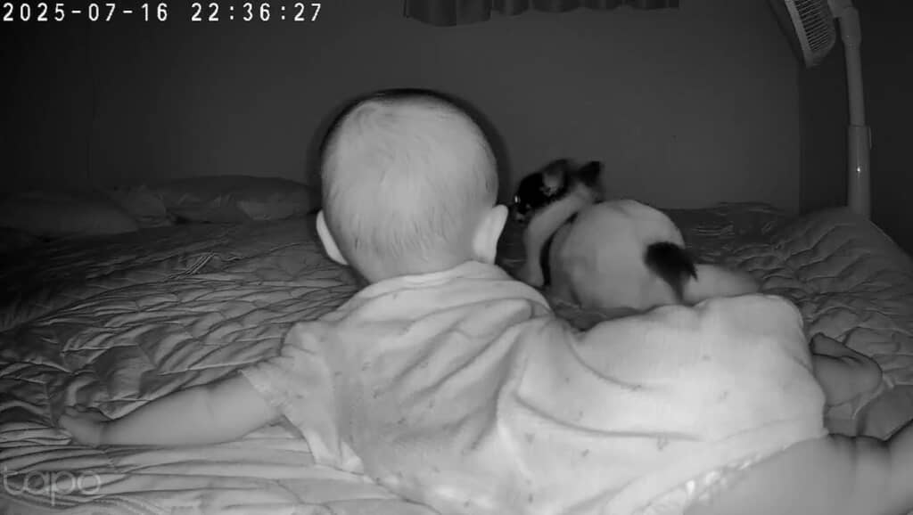 クルクル回りながらアピール