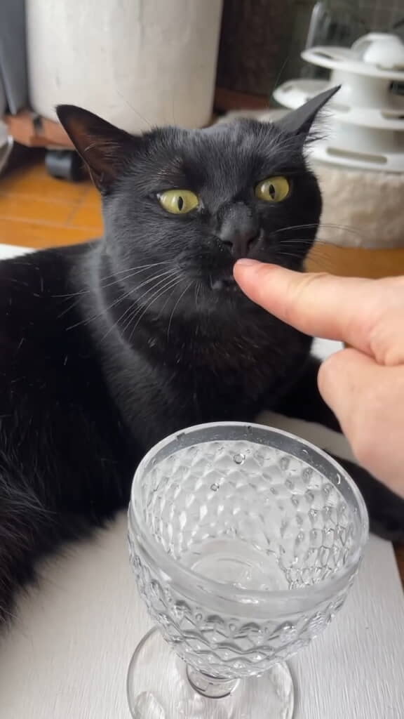 あともうちょっと……