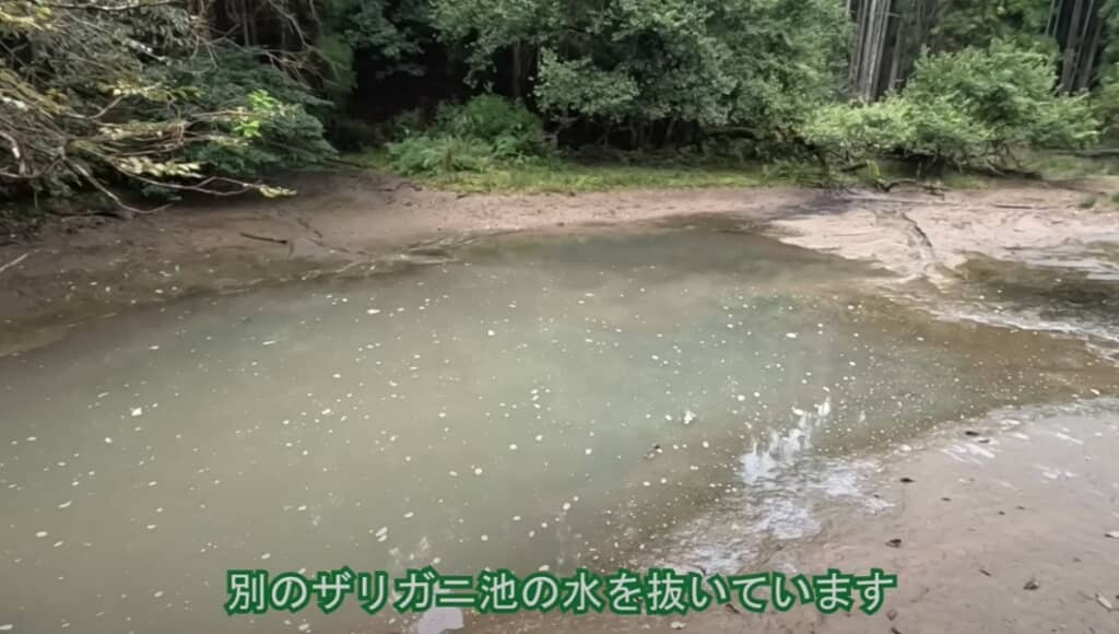 本日はこちらの池の水を抜いていきます