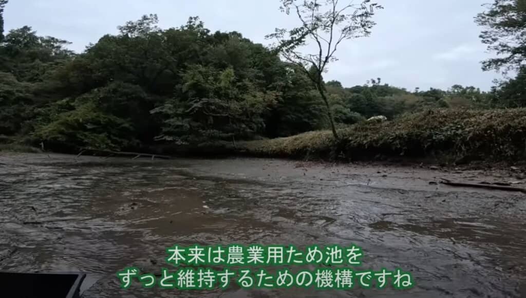 池干しは農業用ため池を健全に保つために必要な作業なのだとか