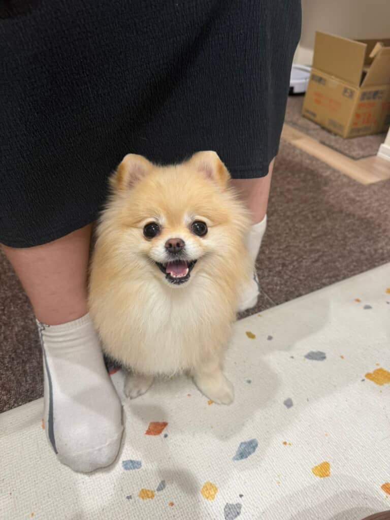 帰ってほしくなくて帰宅ブロック！