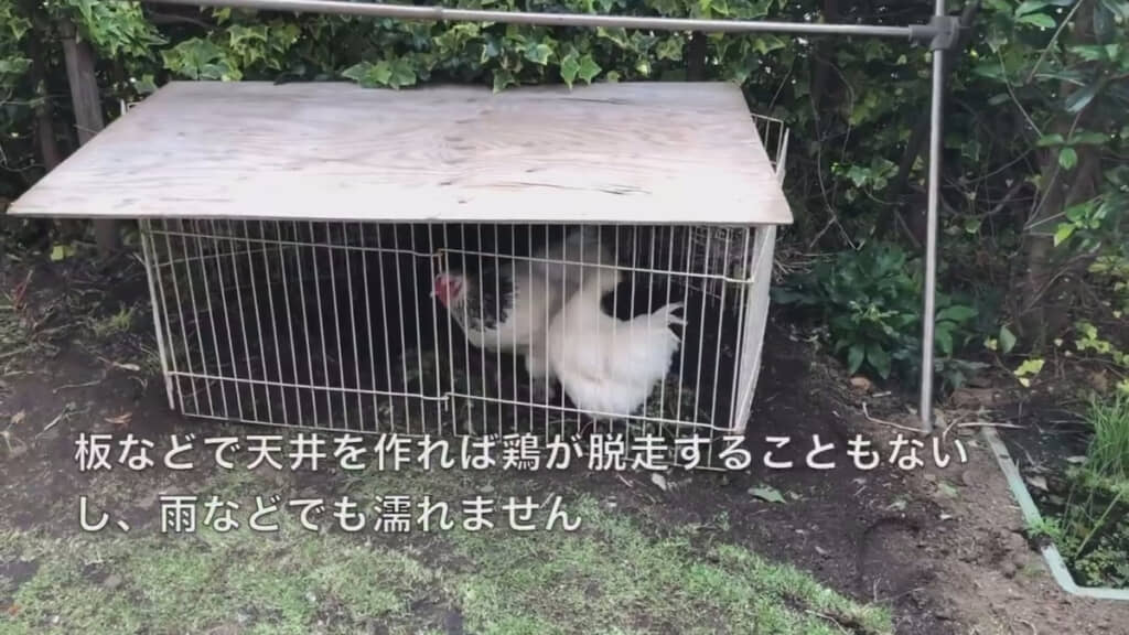 ケージで囲えば部分的な除草も可能