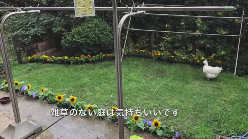 花がきれいに咲いた雑草のない庭