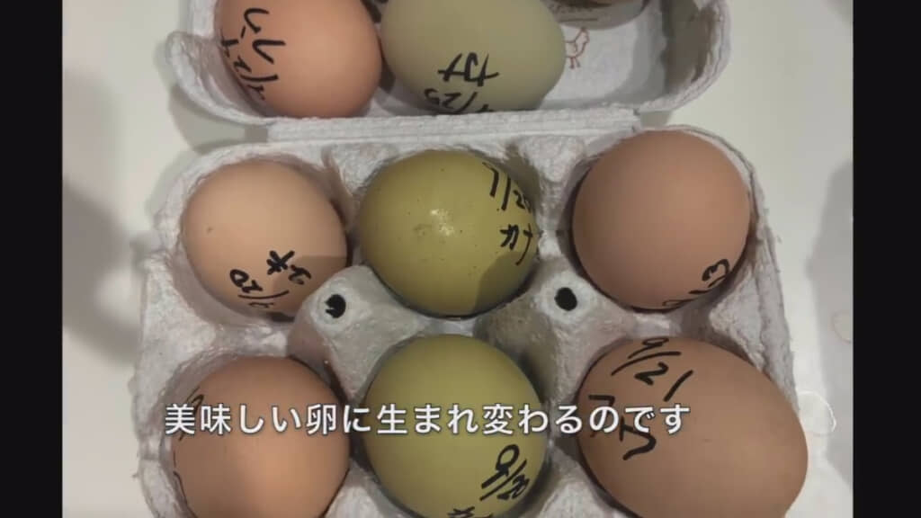 雑草の栄養でもっと美味しい卵に！