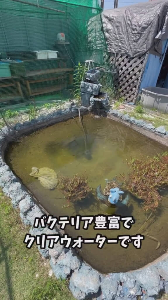 メダカにとってもいい環境